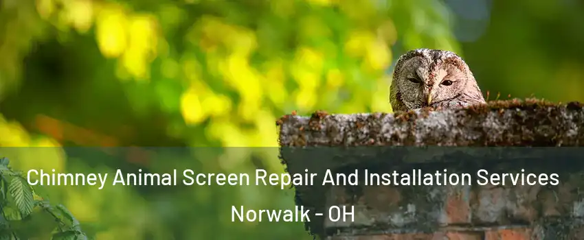  Chimney Animal Screen Repair And Installation Services Norwalk - OH