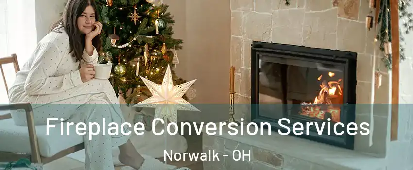 Fireplace Conversion Services Norwalk - OH